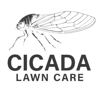 Cicada Lawn Care